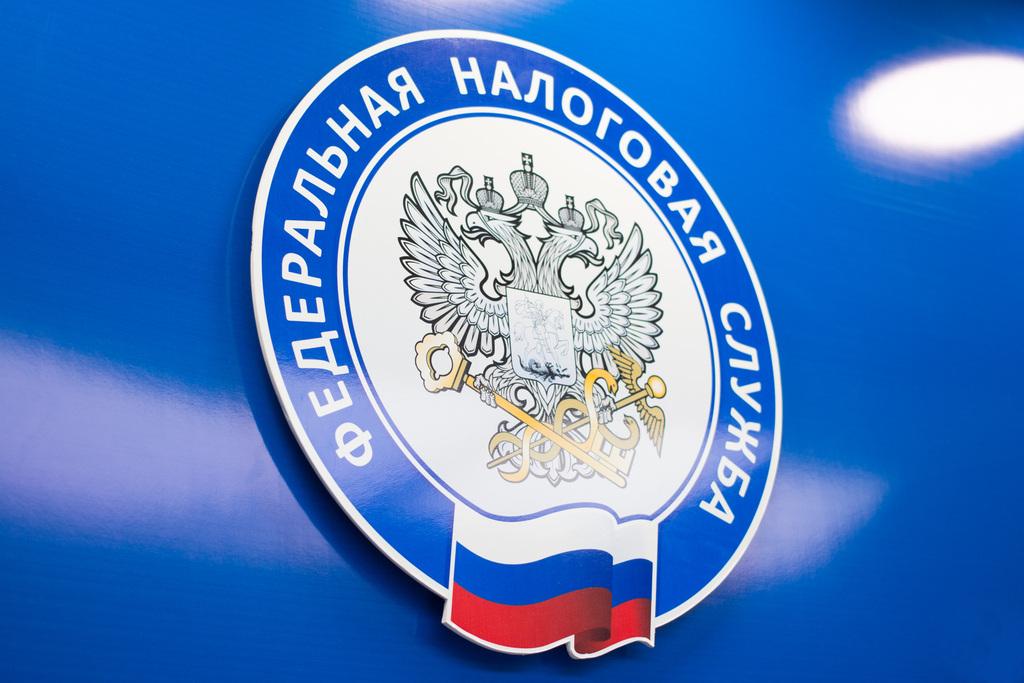Чат-бот Налоговой службы поможет определиться,  нужно ли подавать декларацию 3-НДФЛ.