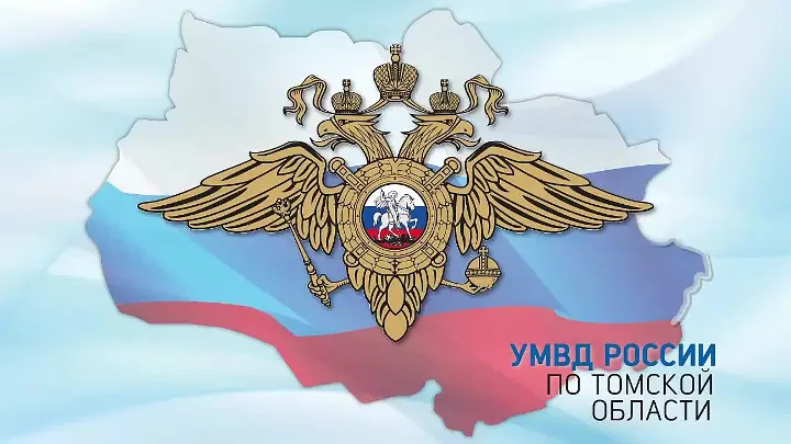 Томичка в поисках пропавшего кота лишилась денежных средств.